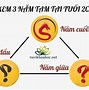 Năm Tân Tỵ Là Năm Nào